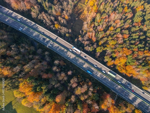 Aerial top view of thick forest in autumn with highway cut through, St Gallen, Switzerland.