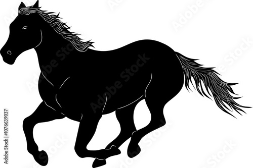 black horse isolated on white