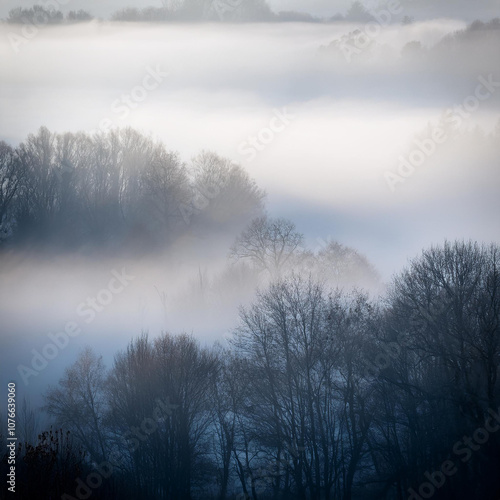 Misty Fog on Black Background