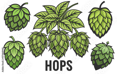 This vibrant illustration showcases fresh, green hop cones and leaves, essential ingredients in beer brewing and representing agricultural cultivation
