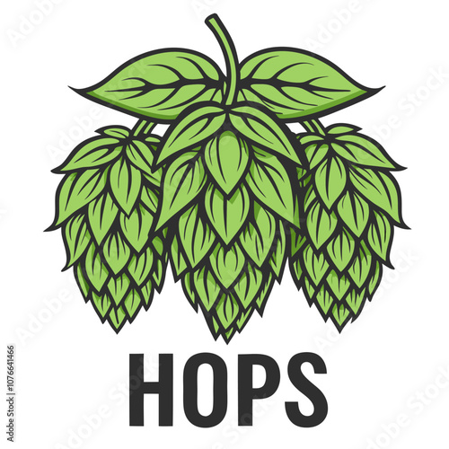 Green hops plant with leaves, a key ingredient in brewing, providing bitterness, aroma, and flavor to beer, depicted in a detailed illustration perfect for brewery branding or educational materials