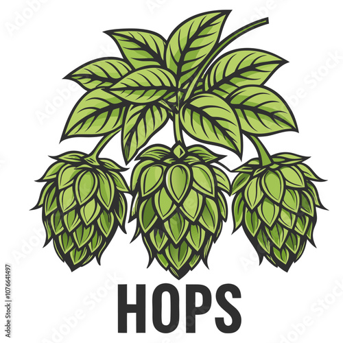 Green hop plant featuring three ripe cones and leaves, embodying the essence of brewing, flavor, and aroma, ideal for beer related designs