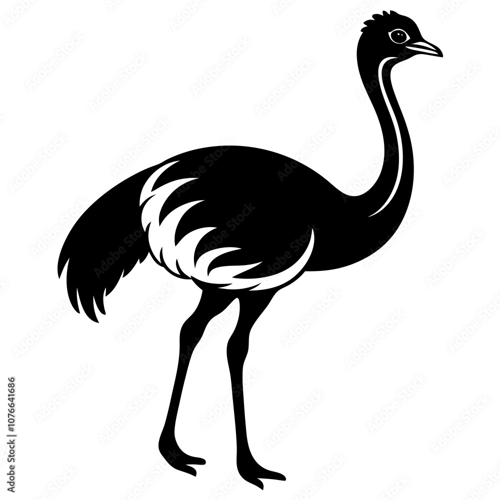 illustration of an emu illustration of an emu