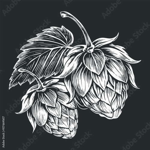 Hops clip art preview