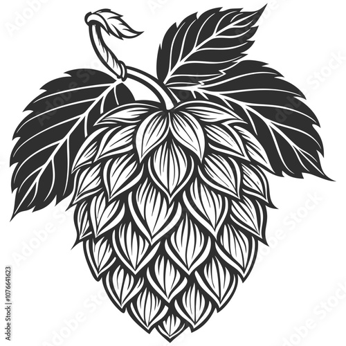 Vintage monochrome illustration of hops cone with leaves isolated on white background, essential ingredient for brewing process, ideal for brewery logo or beer label