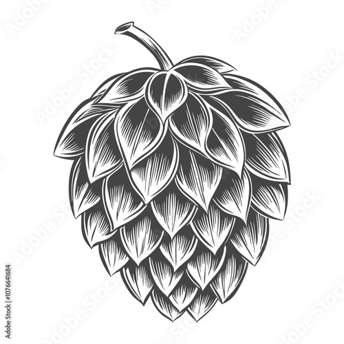 Detailed engraving of a hop cone, showcasing its intricate structure and highlighting its role as a key ingredient in the brewing process, adding bitterness, flavor, and aroma to beer