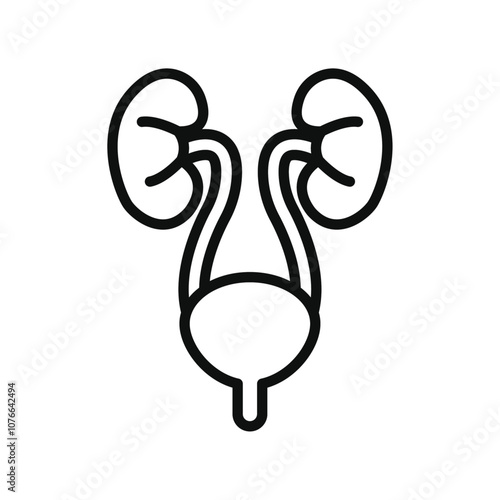 Urology icon Vector flat thin line illustration