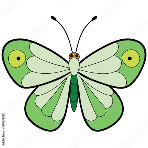 Map Butterfly vector illustrations on a white background. photo