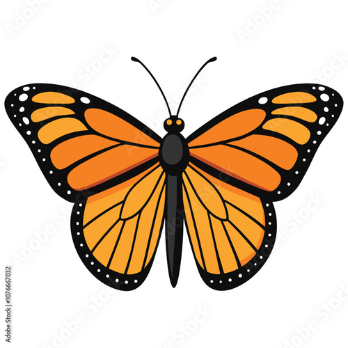 Monarch butterfly vector illustrations on a white background.