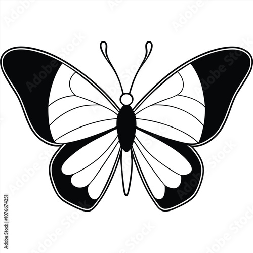 Mourning Cloak butterfly vector illustrations on a white background.