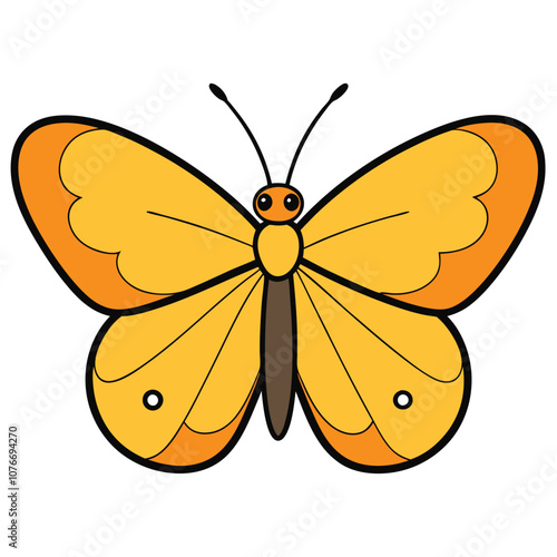 Orange Sulphur butterfly vector illustrations on a white background.