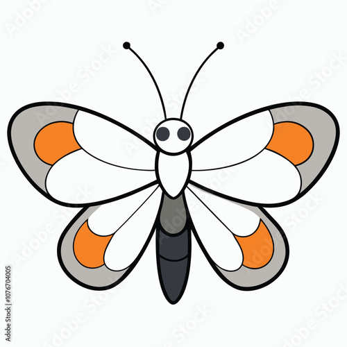 Orange Tip butterfly vector illustrations on a white background.