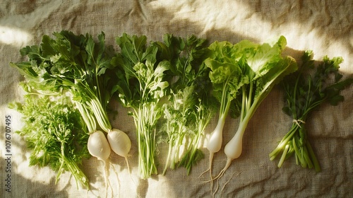 Organic Vegetable Selection...