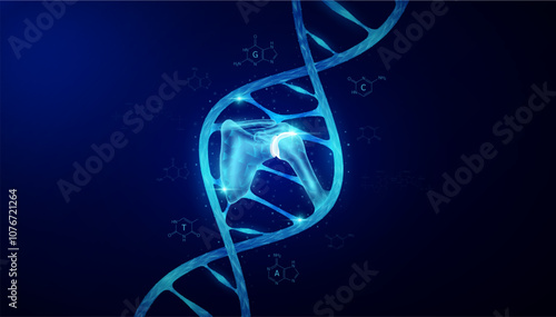 Shoulder bone in DNA gene cell double helix blue. Genetic synthetic biology combined. Anatomy organ glowing polygonal. Code analysis thymine, adenine, guanine, cytosine. Medical science vector.