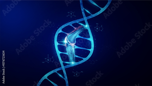 Knee joint bone in DNA gene cell double helix blue. Genetic synthetic biology combined. Anatomy organ glowing polygonal. Code analysis thymine, adenine, guanine, cytosine. Medical science vector.