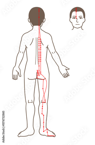 鍼灸の経穴、足の太陽膀胱経、ツボのイラスト