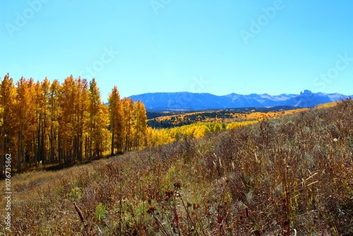 autumn landscape in the mountains