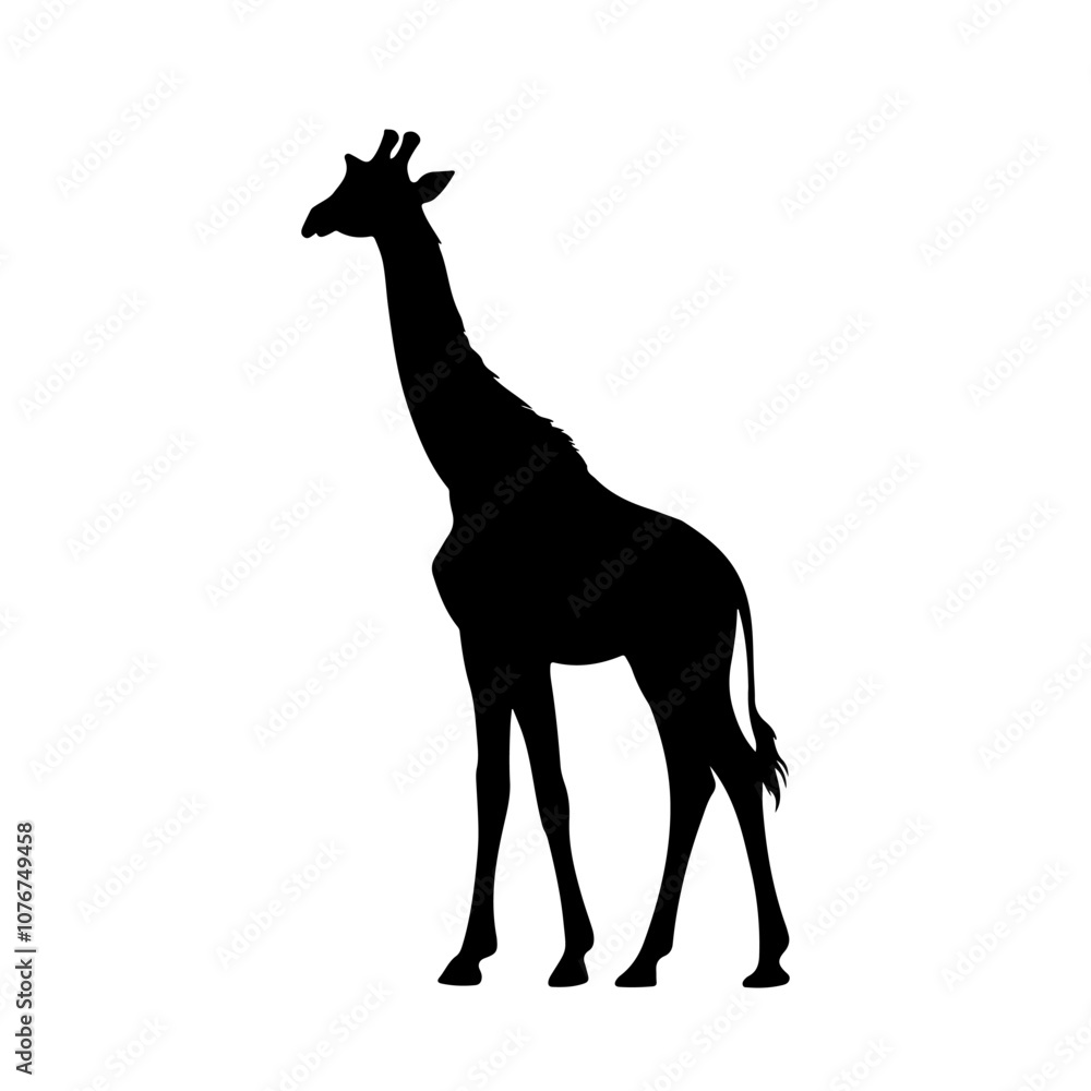 Fototapeta premium Vector silhouette of a giraffe on white background