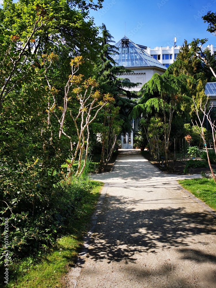 A sunny pathway through lush greenery leads to a greenhouse in an urban botanical garden during a clear day A sunny pathway through lush greenery leads to a greenhouse in an urban botanical garden during a clear day