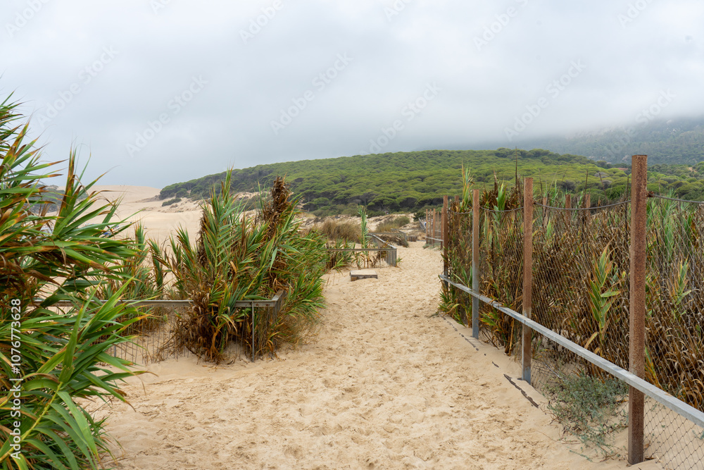 Fototapeta premium Dune of Bolonia on Atlantic ocean coast in Tarifa, Andalusia, Spain