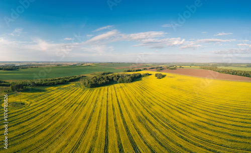 Aerial View of Blooming Can...