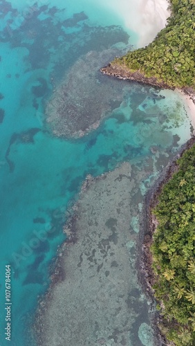 Vista picada de una playa paradisíaca caribeña que se encuentra en Republica dominicana. photo