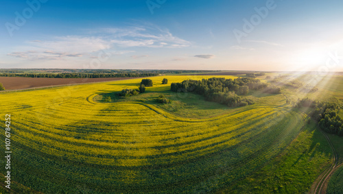 Aerial View of Blooming Can...