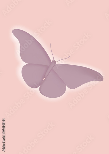 butterfly on pink background