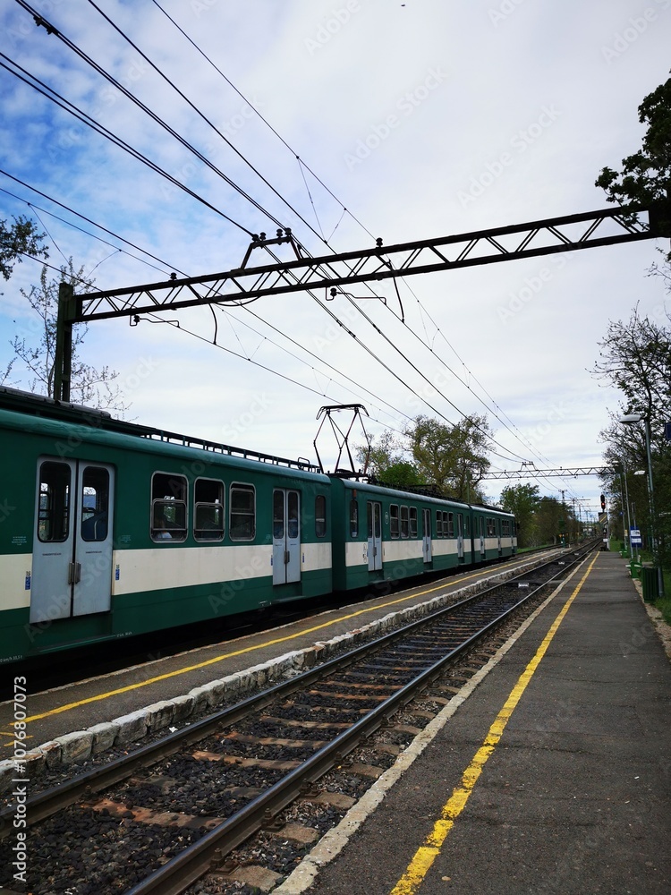 Fototapeta premium A train passing through a quiet rural station on a cloudy day in the countryside, surrounded by greenery and rails