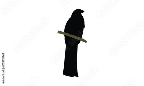 Red Headed Trogon Silhouette Design  And Vector Illustration. 
