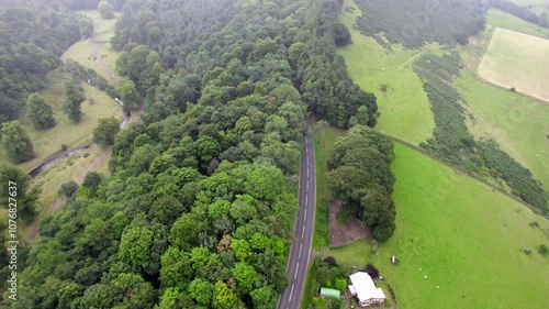 Running through Scottish forest by drone