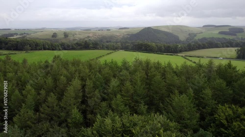 Scottish Forest by drone
