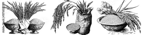 Icon of a snack bowl with rice grains, vintage seeds pile, and farm ears. Whole basmati grain in bag, scoop, spoon. Rice porridge bowl. Drawing illustration of a healthy food ingredient.