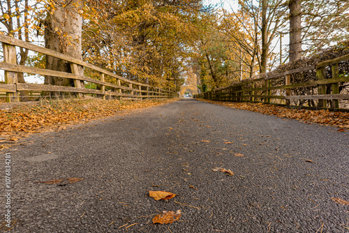 Beautiful autumn roads in the United Kingdom, Northumberland 
 photo