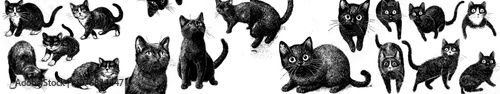 Drawing with children of black cats. Collection of silhouettes of funny cats in different poses. Modern illustration isolated on white background.