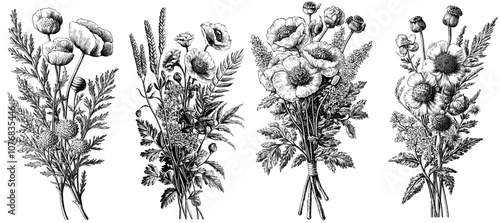 The hand drawn illustration shows a bunch of wildflowers blooming in a meadow