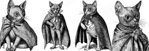 Doodle illustration of a funny cat dressed in a vampire costume for Halloween