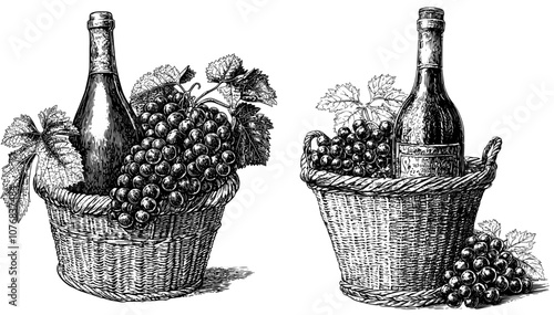 A hand-drawn illustration of Georgian red wine and grapes
