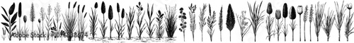 A set of thick reeds, reeds and coastal grass shoots. Ferns and rotten stumps. Swamp landscape. View of the river bank. Isolated on white background. Vector.