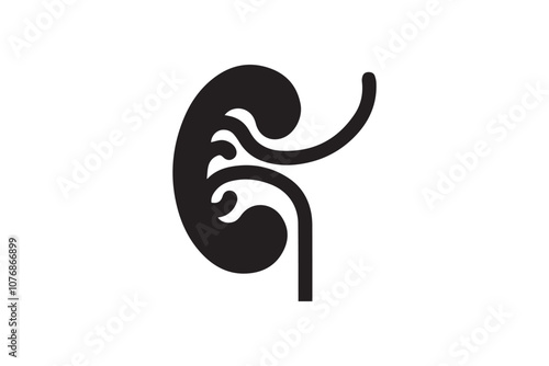 kidney vector silhouette illustration isolated in white background