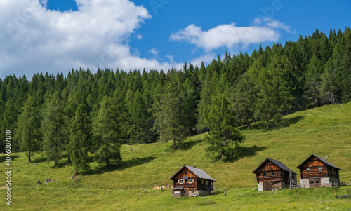 Hütten auf der Egger Alm, Sehenswürdigkeit, Kärnten, Österreich photo