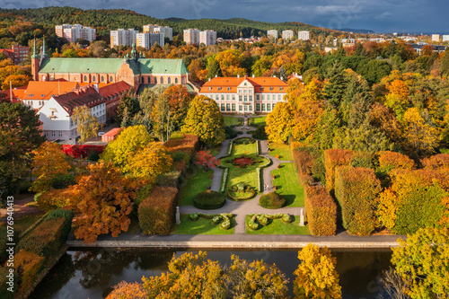 Autumn alley with yellow leaves in the public park in Gdansk Oliwa, Poland