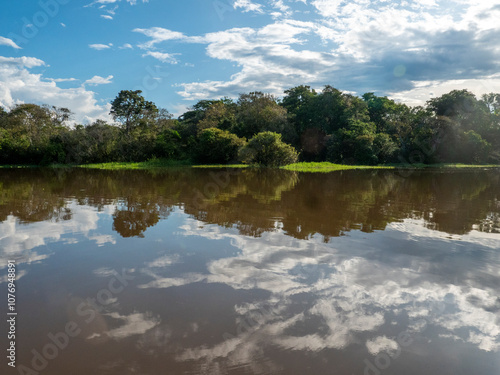 Amazon river landscape near Anama. photo