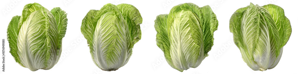 Obraz premium Chinese cabbage isolated image
