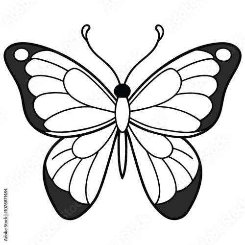 Purple Emperor butterfly vector illustrations on a white background