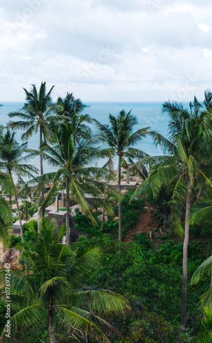 Wallpaper Mural Aerial scenery view beautiful slope with lush palm trees. Bird's eye panoramic view of picturesque lagoon of populated Asian island in Thailand Torontodigital.ca