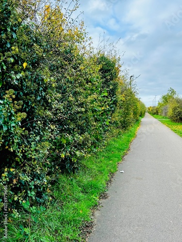 Pathway through a park in an English county in autumn  photo