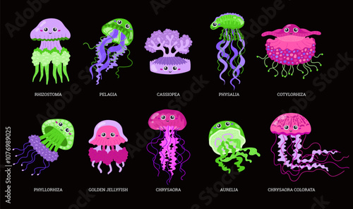 Cute jellyfish vector illustration set