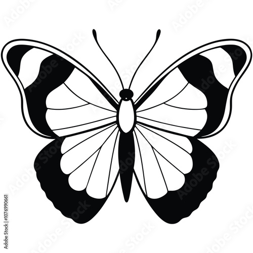 Red Admiral butterfly vector illustrations on a white background.