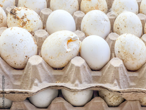 Selling organic raw eggs from the farm in the market